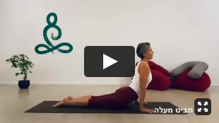 יוגה אונליין עם רויטל